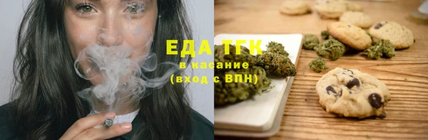 индика Балахна