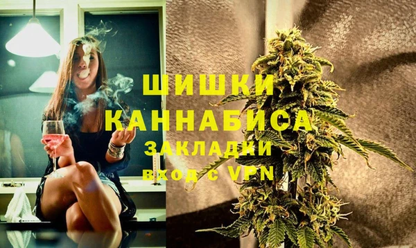 индика Балахна