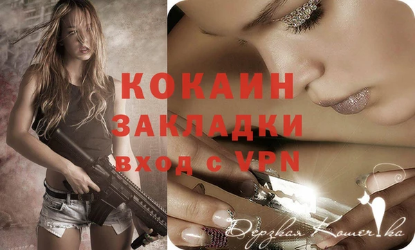 индика Балахна