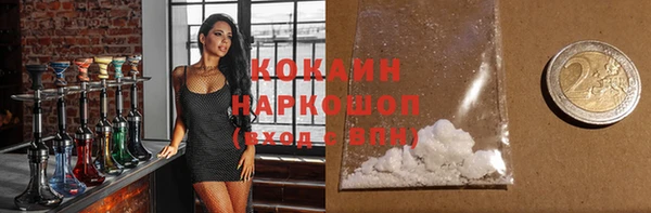 индика Балахна