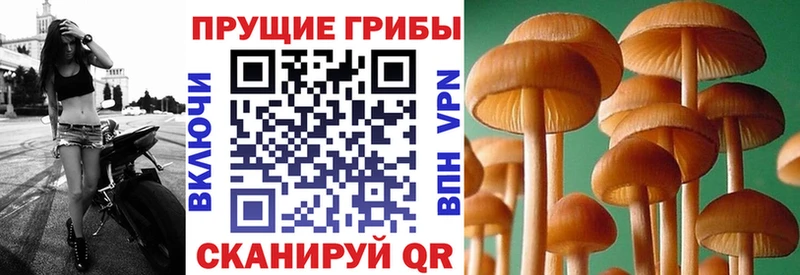 Галлюциногенные грибы мухоморы  Покровск 