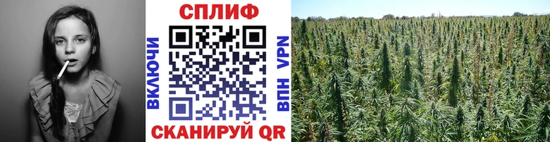 магазин продажи Покровск Бошки марихуана SATIVA & INDICA